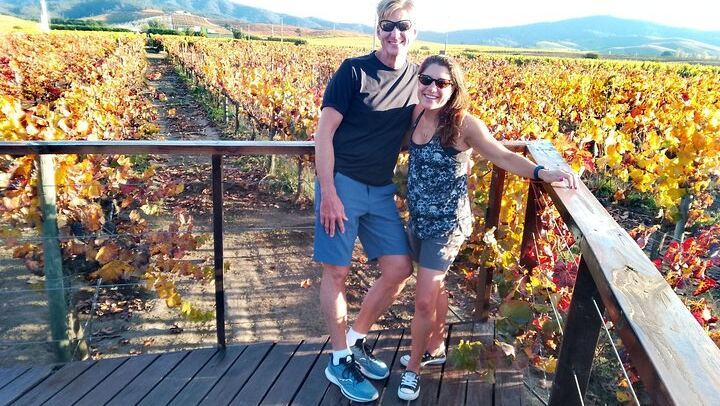 Casablanca Valley Full-Day Wine Tour with Three Vineyards and Casas del Bosque Lunch (2/12)