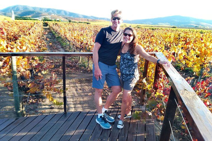 Casablanca Valley Full-Day Wine Tour with Three Vineyards and Casas del Bosque Lunch (2/12)
