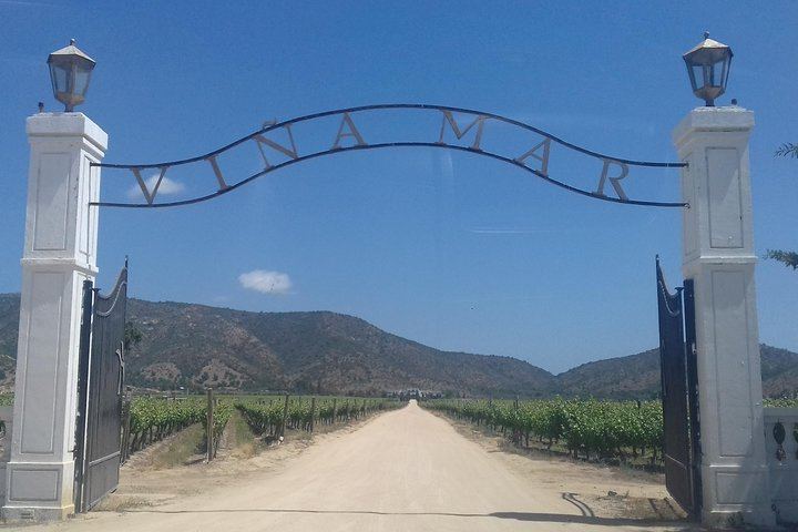 Casablanca Valley Full-Day Wine Tour with Three Vineyards and Casas del Bosque Lunch (9/12)
