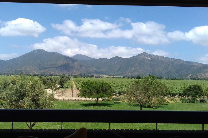 Casablanca Valley Full-Day Wine Tour with Three Vineyards and Casas del Bosque Lunch (8/12)