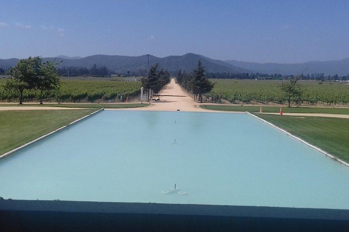 Casablanca Valley Full-Day Wine Tour with Three Vineyards and Casas del Bosque Lunch (12/12)