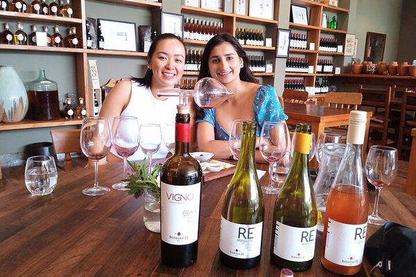 Casablanca Valley Full-Day Wine Tour with Three Vineyards and Casas del Bosque Lunch