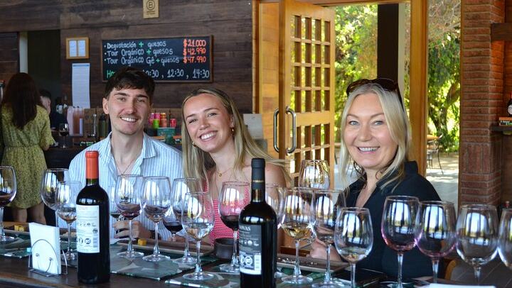 Casablanca Four-Vineyard Day Trip: Emiliana, Viñamar, Bodegas RE and Tanino Lunch Stop (1/12)