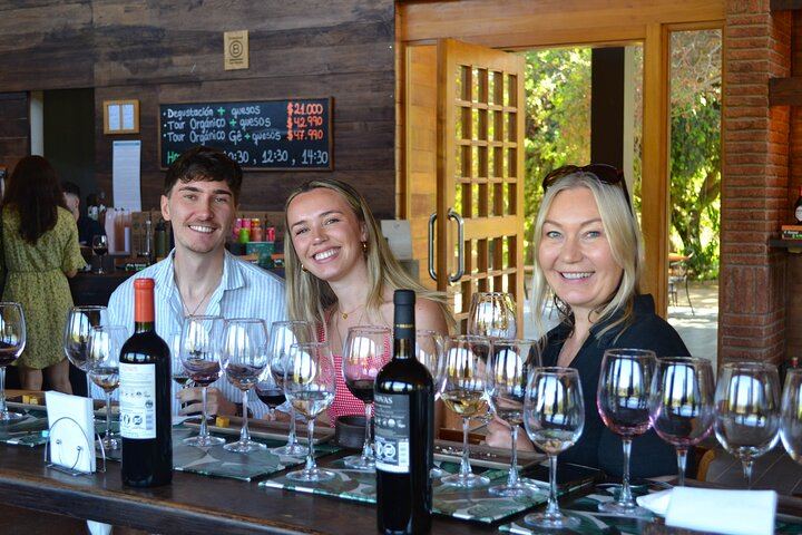 Casablanca Four-Vineyard Day Trip: Emiliana, Viñamar, Bodegas RE and Tanino Lunch Stop (1/12)