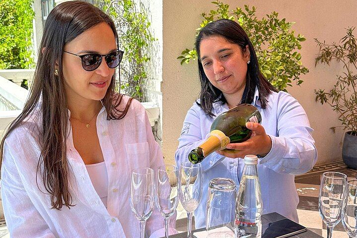 Casablanca Four-Vineyard Day Trip: Emiliana, Viñamar, Bodegas RE and Tanino Lunch Stop (8/12)