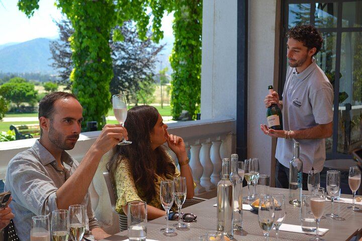 Casablanca Four-Vineyard Day Trip: Emiliana, Viñamar, Bodegas RE and Tanino Lunch Stop (11/12)