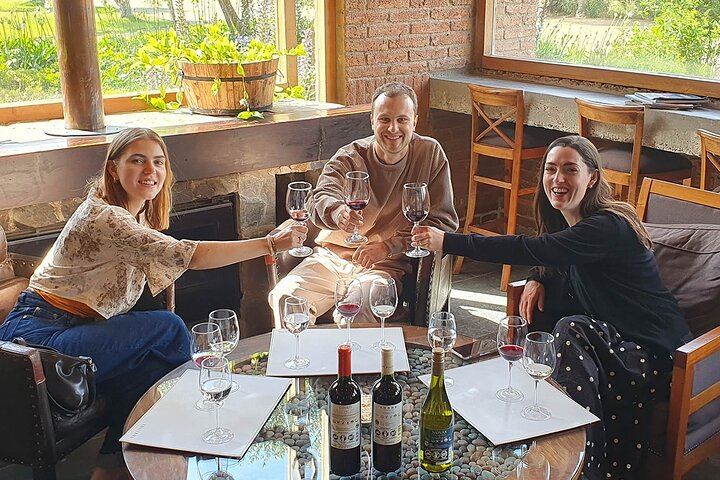 Casablanca Four-Vineyard Day Trip: Emiliana, Viñamar, Bodegas RE and Tanino Lunch Stop (7/12)