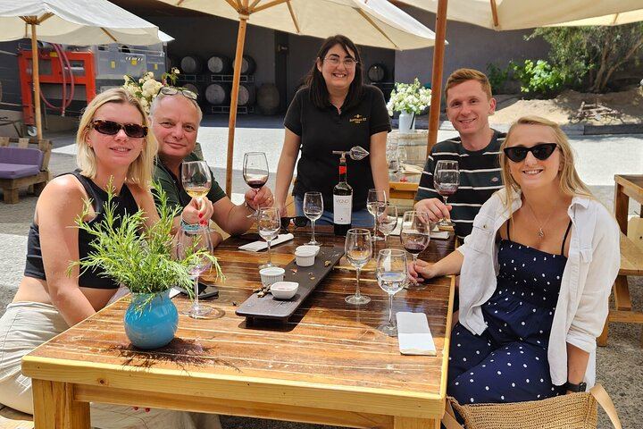 Casablanca Four-Vineyard Day Trip: Emiliana, Viñamar, Bodegas RE and Tanino Lunch Stop (10/12)