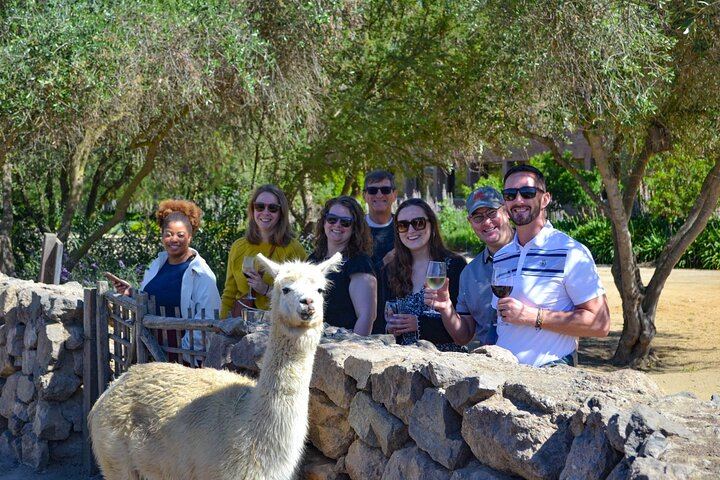 Casablanca Four-Vineyard Day Trip: Emiliana, Viñamar, Bodegas RE and Tanino Lunch Stop (9/12)