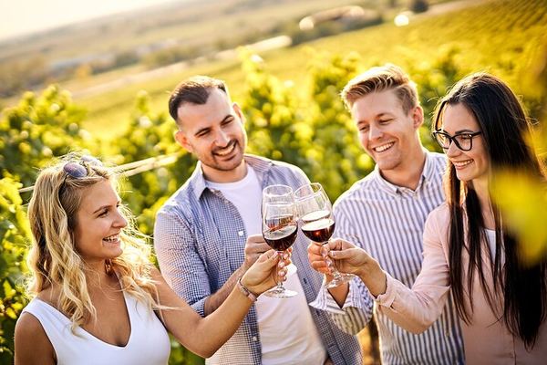 Casablanca Four-Vineyard Day Trip: Emiliana, Viñamar, Bodegas RE and Tanino Lunch Stop