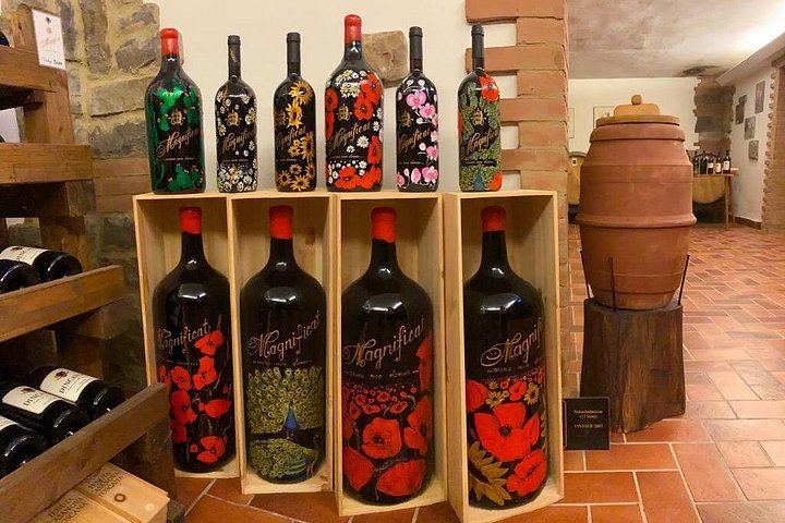 Chianti Classico Private Minivan Day from Florence: Montefioralle, Panzano and Farm Lunch (7/12)