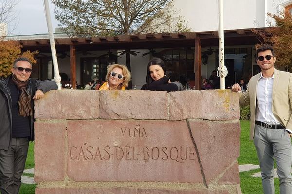 Casas del Bosque and Bodegas RE Wine Tour with Transfer, Tasting and Optional Tanino Lunch