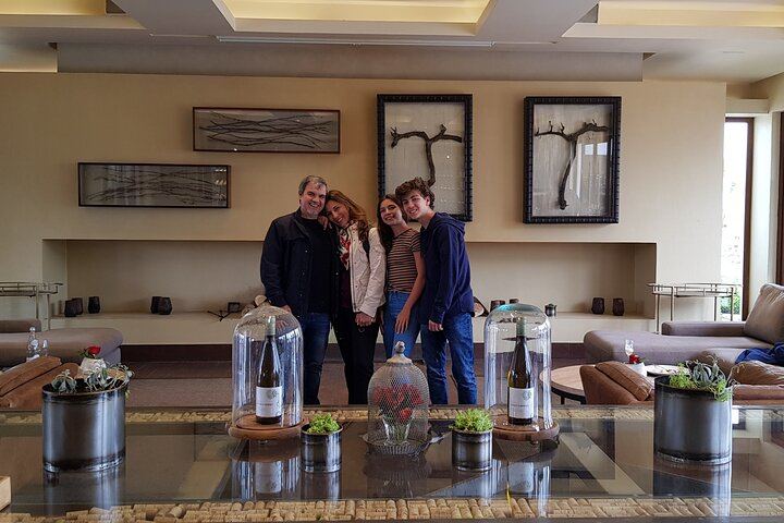 Casas del Bosque and Bodegas RE Wine Tour with Transfer, Tasting and Optional Tanino Lunch (5/5)