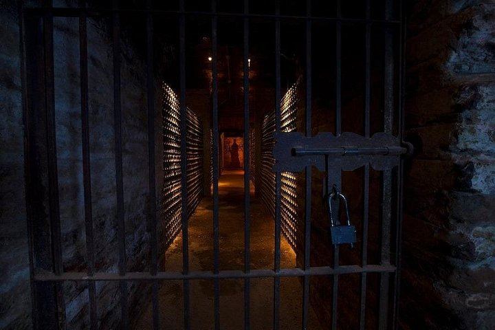 Concha y Toro Night Tour: Casillero del Diablo Cellars, Wine and Dinner at Bodega 1883 (5/6)