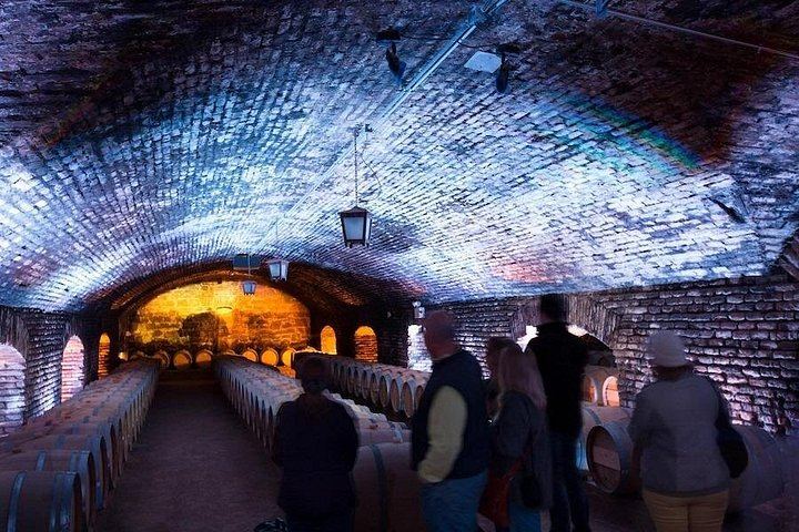 Concha y Toro Night Tour: Casillero del Diablo Cellars, Wine and Dinner at Bodega 1883 (4/6)