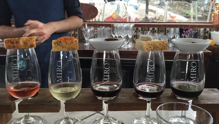 Waiheke Island Premium Wine Tour from Auckland: Max 11 Guests, 3 Boutique Vineyards (1/10)