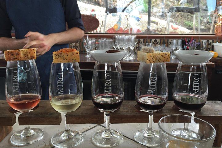 Waiheke Island Premium Wine Tour from Auckland: Max 11 Guests, 3 Boutique Vineyards (1/10)