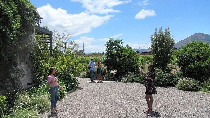 Little Wine Bus Day Trip to Isla de Maipo: Brunch, Wineries and River Lunch (3/12)