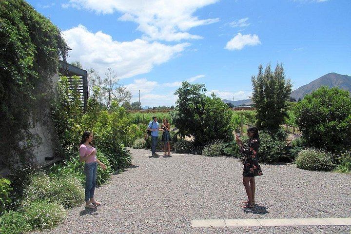 Little Wine Bus Day Trip to Isla de Maipo: Brunch, Wineries and River Lunch (3/12)