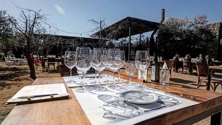 Catena Zapata Winery and Casa Vigil Lunch with Private Driver from Your Hotel (1/7)