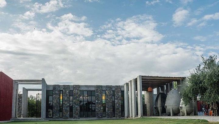Catena Zapata Winery and Casa Vigil Lunch with Private Driver from Your Hotel (4/7)