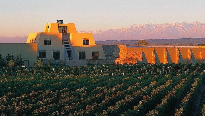 Catena Zapata Winery and Casa Vigil Lunch with Private Driver from Your Hotel (2/7)