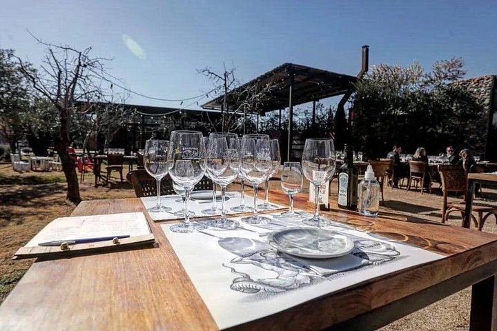 Catena Zapata Winery and Casa Vigil Lunch with Private Driver from Your Hotel (1/7)