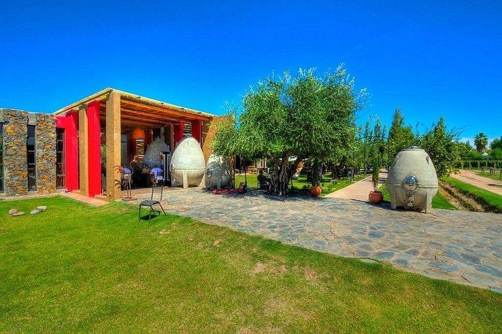 Catena Zapata Winery and Casa Vigil Lunch with Private Driver from Your Hotel (6/7)