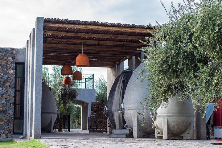 Catena Zapata Winery and Casa Vigil Lunch with Private Driver from Your Hotel (3/7)