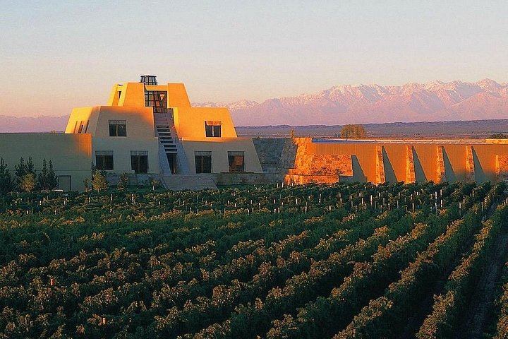Catena Zapata Winery and Casa Vigil Lunch with Private Driver from Your Hotel (2/7)