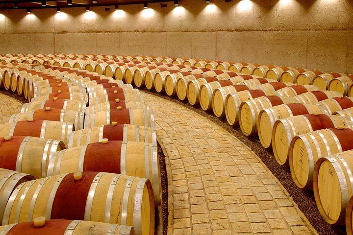 Catena Zapata Winery and Casa Vigil Lunch with Private Driver from Your Hotel (5/7)