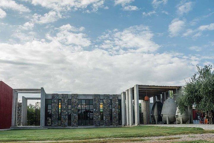 Catena Zapata Winery and Casa Vigil Lunch with Private Driver from Your Hotel (4/7)