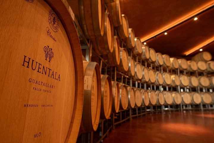 Huentala Wines Gualtallary Lunch: Group Shuttle from Mendoza with Wine Pairing (8/8)