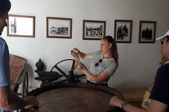 Full-Day Cava Tour to Three Family Wineries: Artcava, a Garden Lunch and Vins el Cep (1/12)