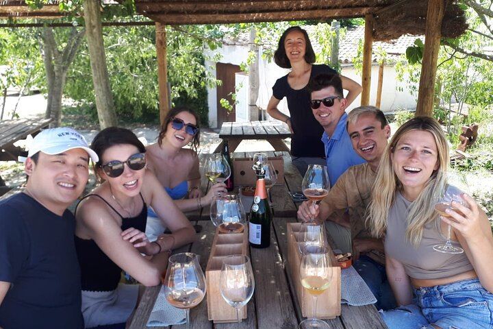 Full-Day Cava Tour to Three Family Wineries: Artcava, a Garden Lunch and Vins el Cep (10/12)