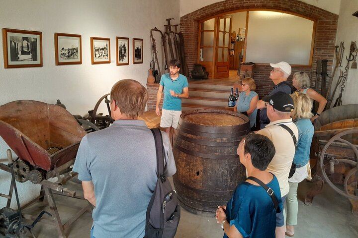 Full-Day Cava Tour to Three Family Wineries: Artcava, a Garden Lunch and Vins el Cep (9/12)