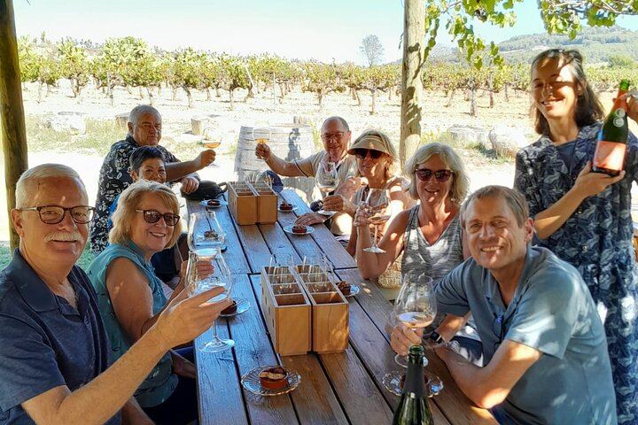 Full-Day Cava Tour to Three Family Wineries: Artcava, a Garden Lunch and Vins el Cep (11/12)