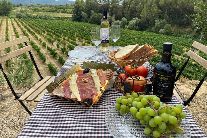 Full-Day Cava Tour to Three Family Wineries: Artcava, a Garden Lunch and Vins el Cep (5/12)