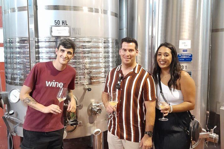 Full-Day Cava Tour to Three Family Wineries: Artcava, a Garden Lunch and Vins el Cep (12/12)