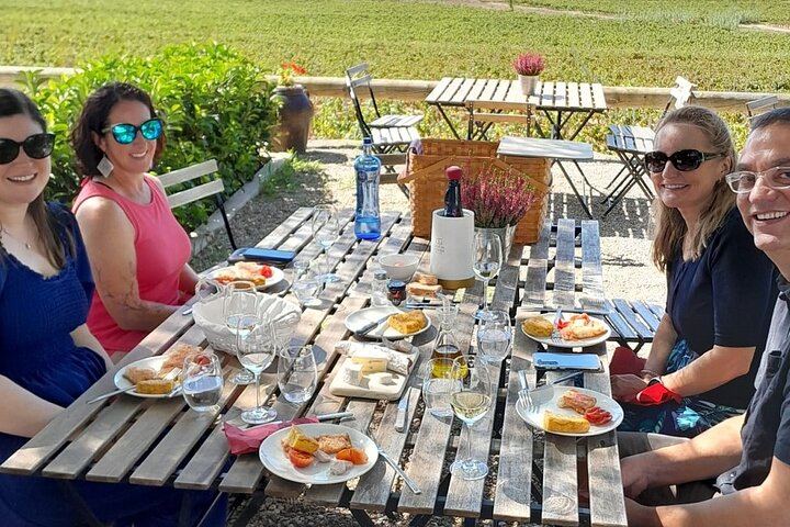 Full-Day Cava Tour to Three Family Wineries: Artcava, a Garden Lunch and Vins el Cep (7/12)