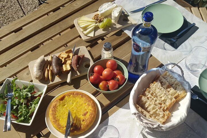 Full-Day Cava Tour to Three Family Wineries: Artcava, a Garden Lunch and Vins el Cep (6/12)