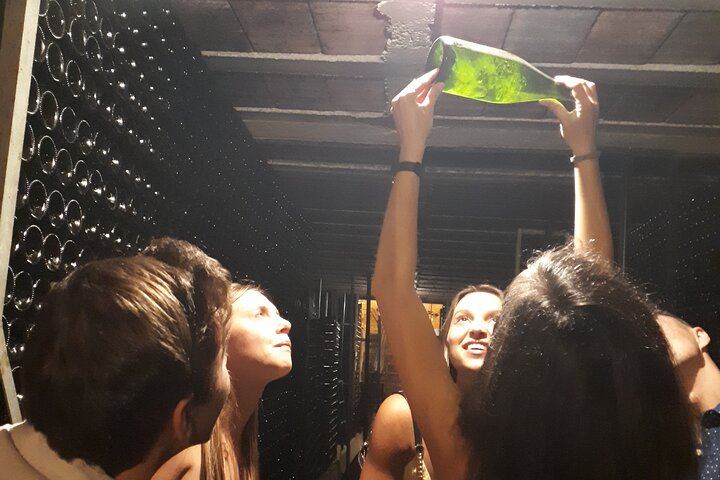 Full-Day Cava Tour to Three Family Wineries: Artcava, a Garden Lunch and Vins el Cep (3/12)