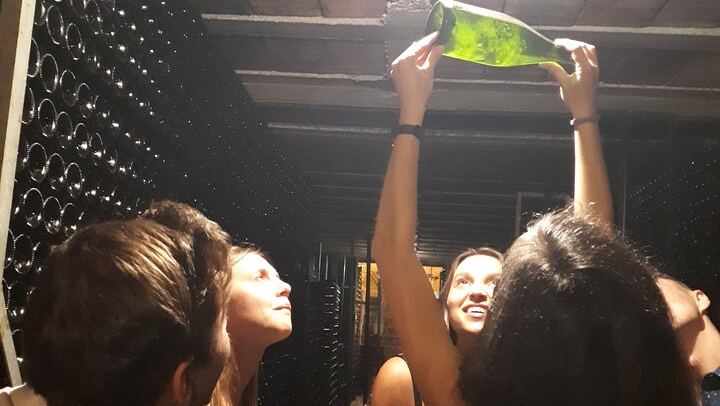 Full-Day Cava Tour to Three Family Wineries: Artcava, a Garden Lunch and Vins el Cep (3/12)