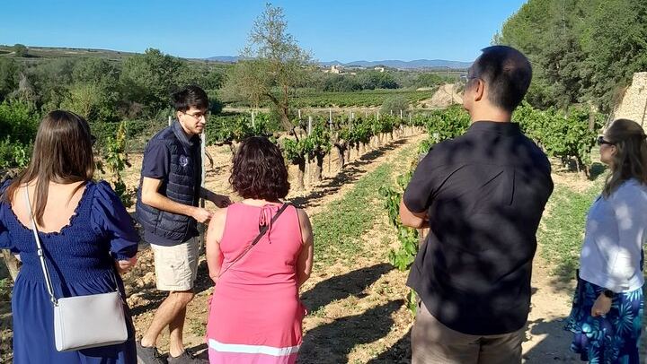 Full-Day Cava Tour to Three Family Wineries: Artcava, a Garden Lunch and Vins el Cep (2/12)