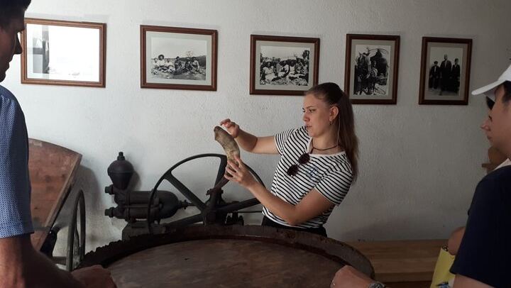 Full-Day Cava Tour to Three Family Wineries: Artcava, a Garden Lunch and Vins el Cep (1/12)