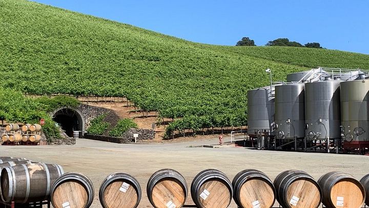Concierge-Planned Private Napa and Sonoma Wine Tour, 6 to 8 Hours, Free Pickup (3/9)
