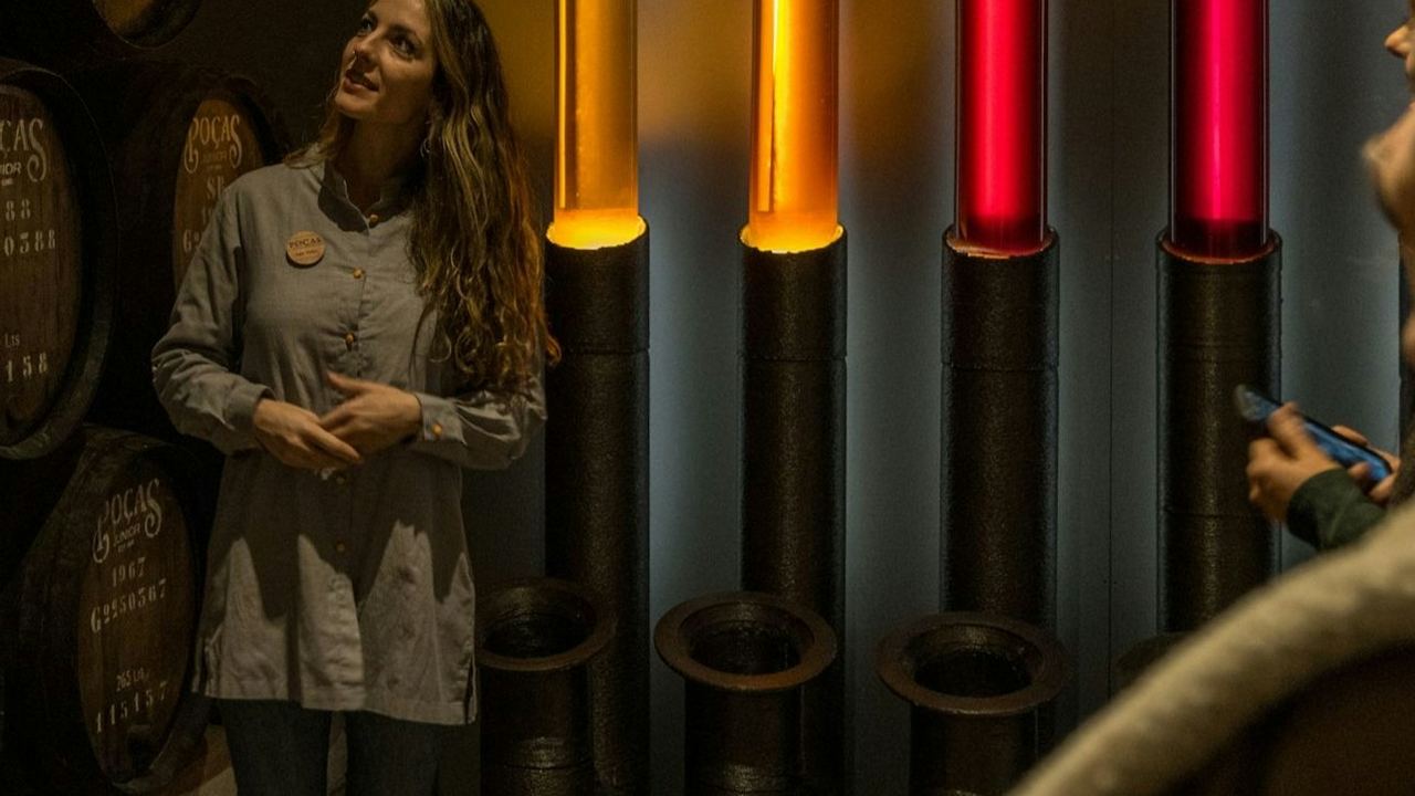 Caves Poças 30-Minute Guided Visit, then Tasting Room: Two DOC Douro Wines and a Port (2/6)