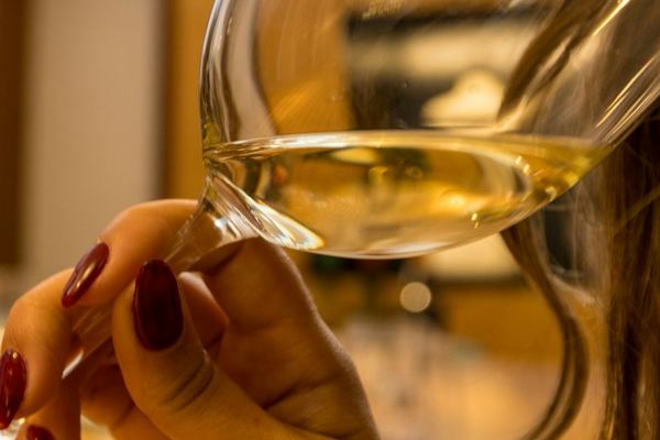 Caves Poças 30-Minute Guided Visit, then Tasting Room: Two DOC Douro Wines and a Port