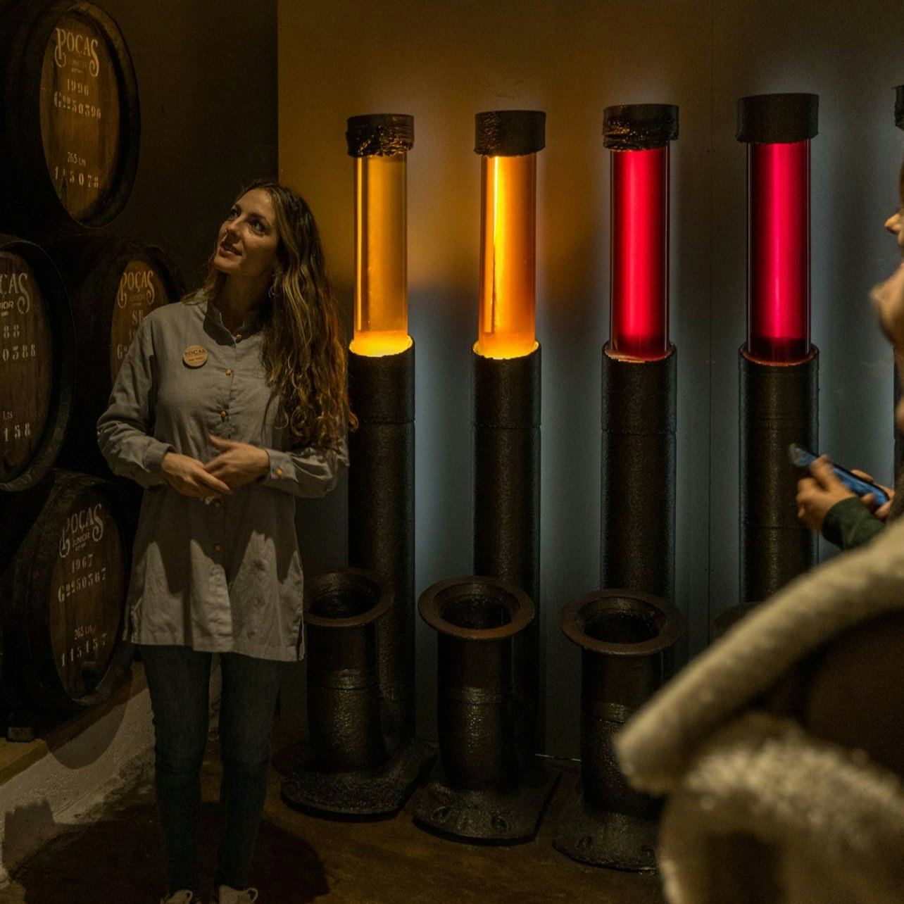 Caves Poças 30-Minute Guided Visit, then Tasting Room: Two DOC Douro Wines and a Port (2/6)