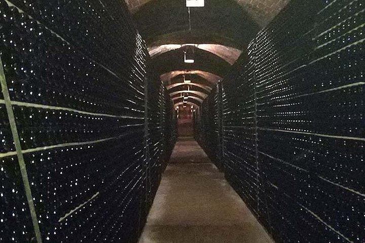 Private Penedès Wine and Cava Tasting Tour from Barcelona with Hotel Pickup (5/10)